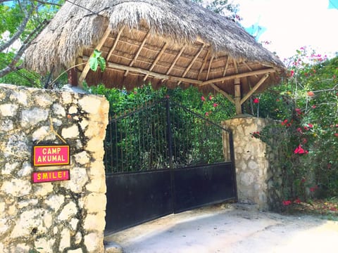 CaSa im Dschungel von Akumal mit Gemeinschaftspool