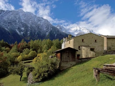 Steinhaus