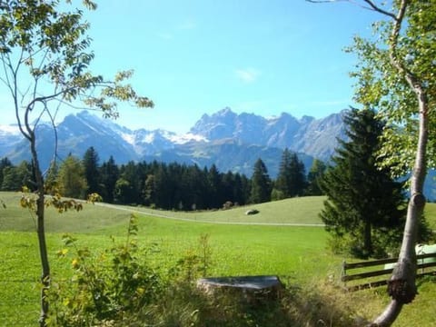 Ferien im grünen rechts