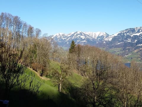 Chalet Hüsli