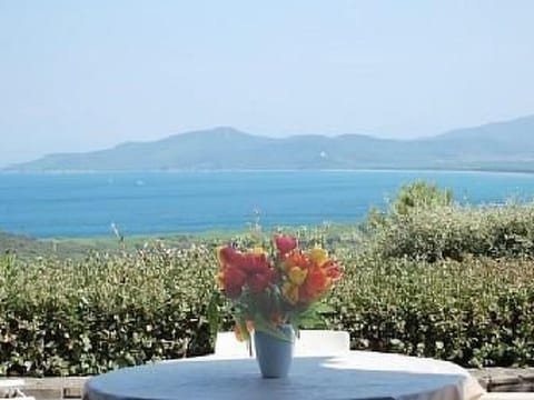 Wohnung in Punta Ala mit Großer Terrasse