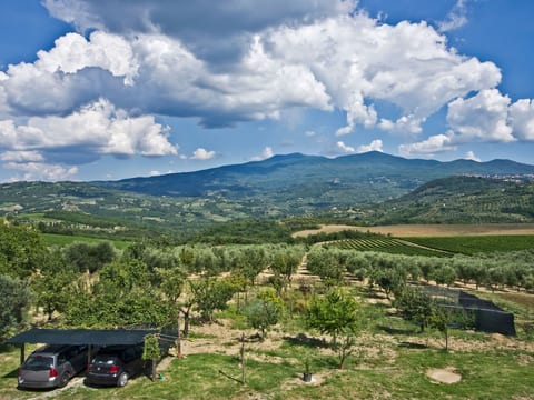 'Villa RosaSpina