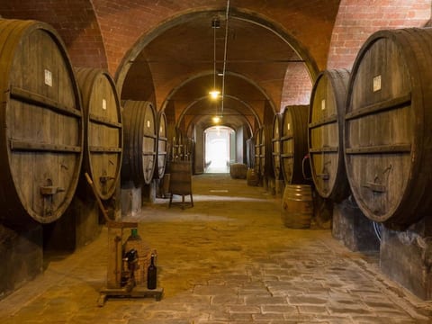 Schloss Selvole B2