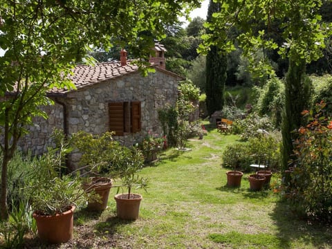 Molino Trilo 5