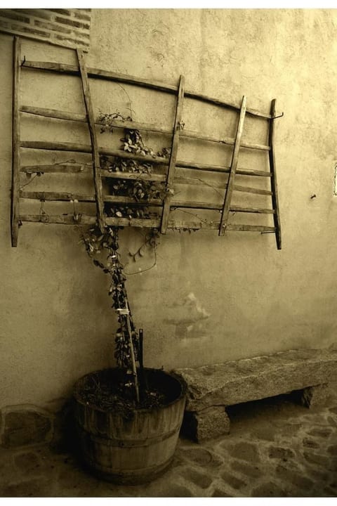Callejón del Pozo II