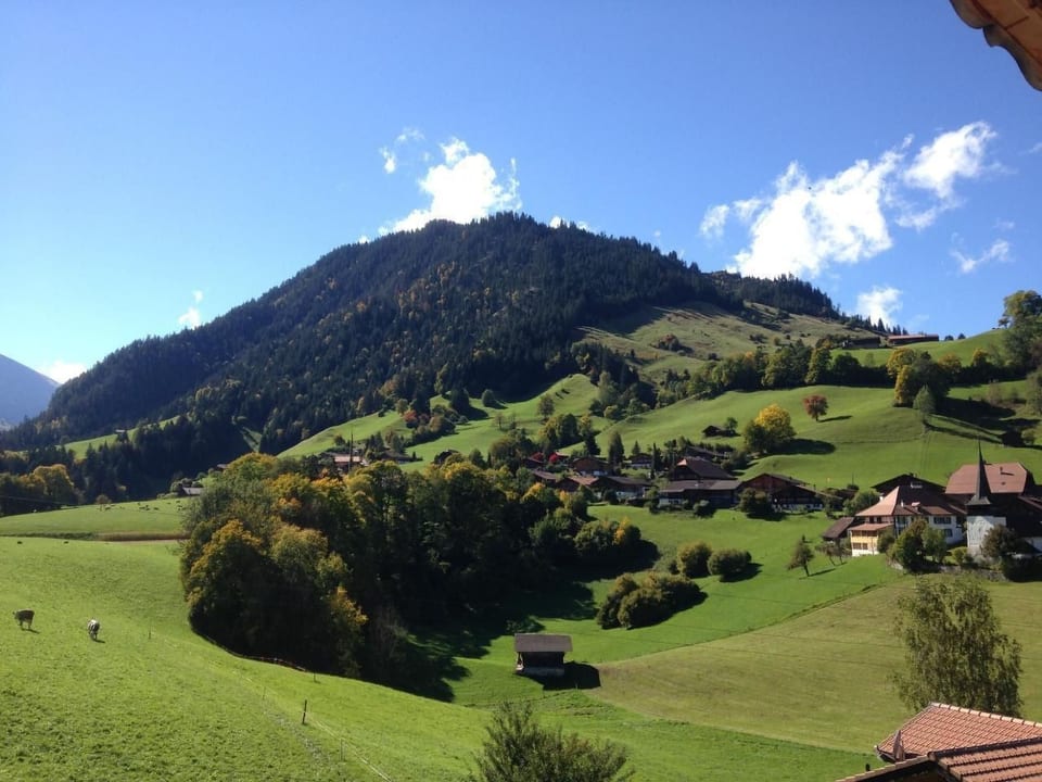 Chalet Ried - Diemtigen