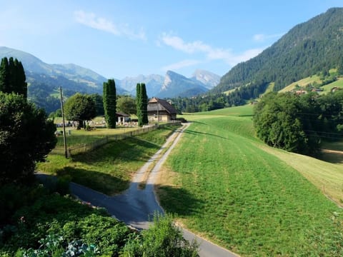Chalet Ried