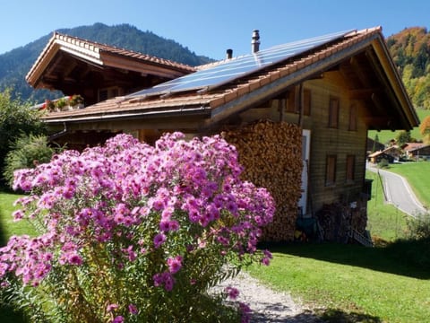 Chalet Ried