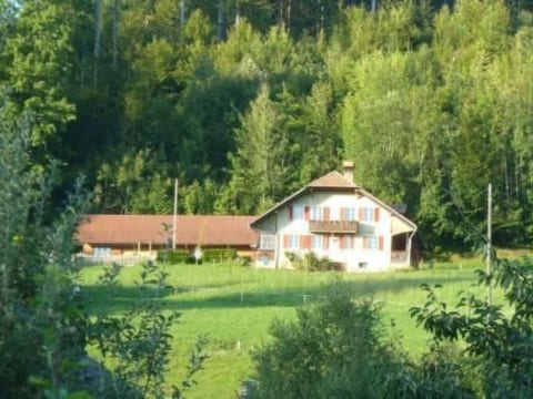 FeWo Südhang