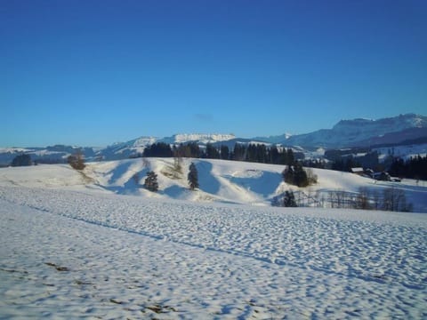 Fischbachboden