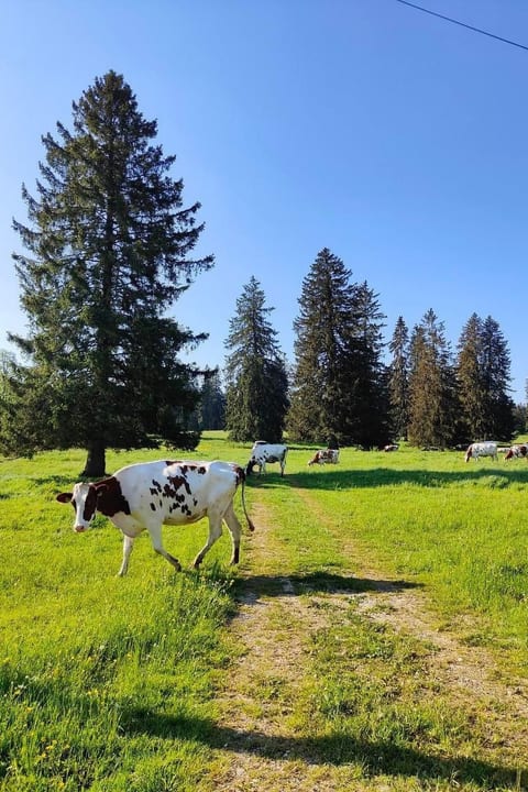 la ferme de la gaby