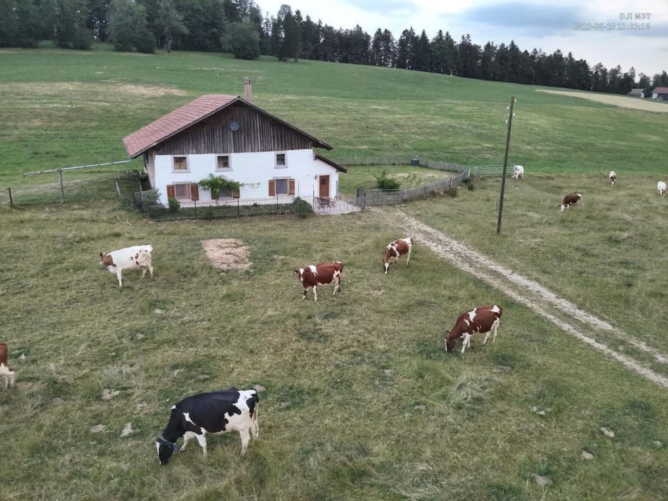 la ferme de la gaby - Le Noirmont