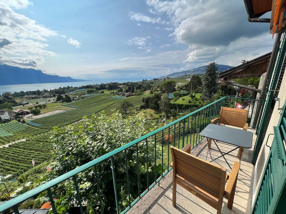 Vigneronne, App. Lac - Montreux