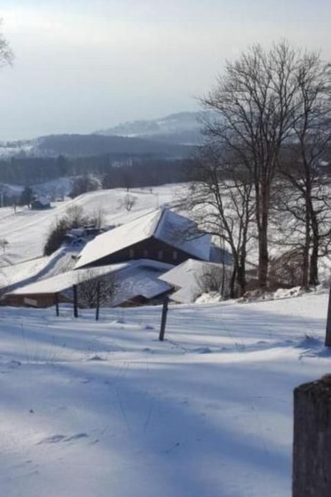 Appartement dans une ferme rénovée (4pers.)