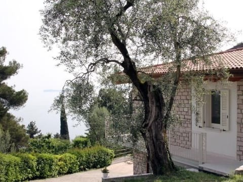 'Villa degli Ulivi