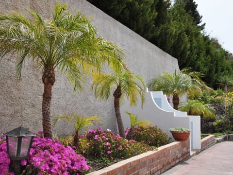 Wohnung 'Glicine ab 231' mit Terrasse