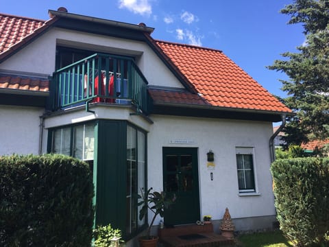 Löwenzahn