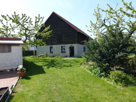 in Domsühl