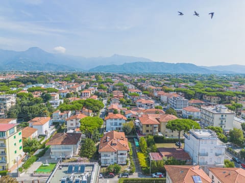 Aerial photography