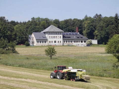 Mortelgrund