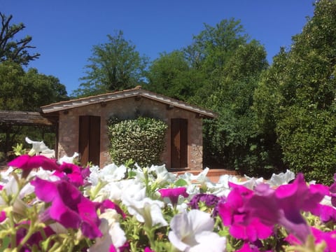 Villa mit privatem Pool 70 Kilometer von Rom entfernt
