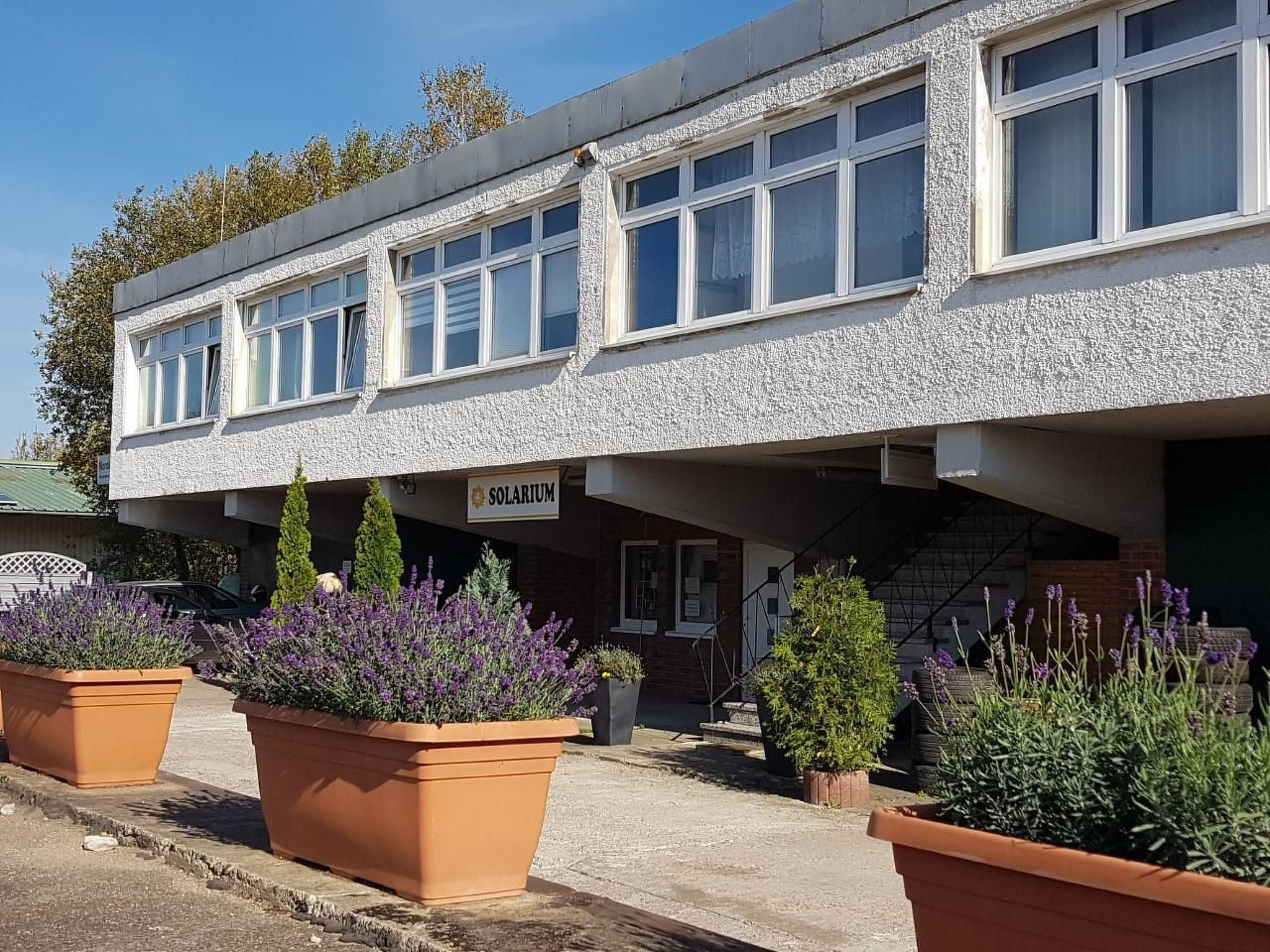 Wohnung in Siebenlehn mit Grill und Terrasse