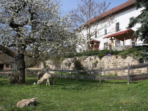 Große Fewo