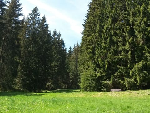 für 6 Personen im Thüringer Wald