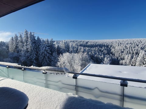Wohnung in Oberhof