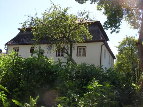 Schloß" Wildenstein"