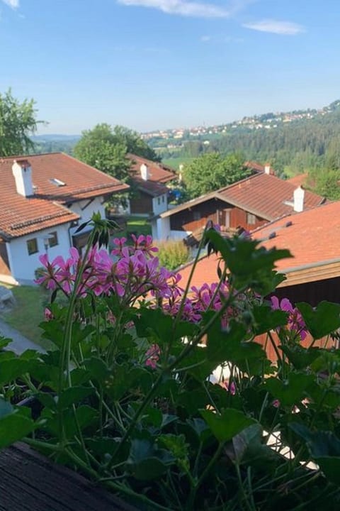 Appartement in Raßreuth mit gemeinsamem Pool
