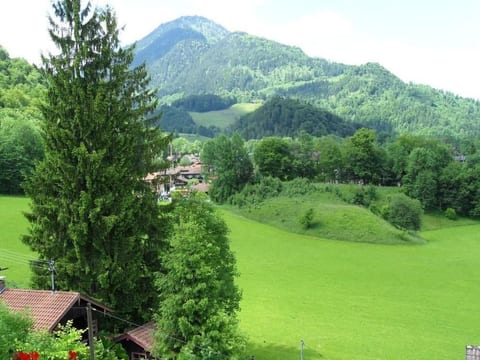"Kranzhorn-Blick"