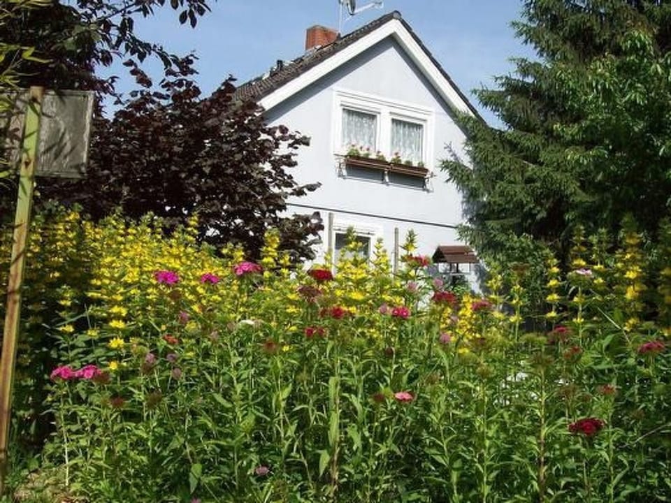 Appartamento a Schelingen con giardino e barbecue - Vogtsburg