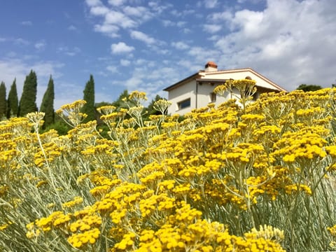 Villa mit Pool und zauberhafter Aussicht
