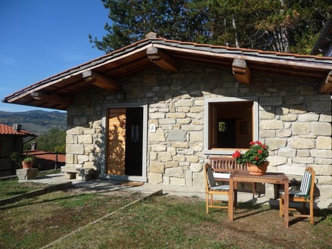Magnolienhaus mit Pool zwischen Florenz und Arezzo