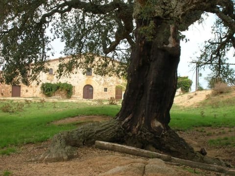 Bauernhaus im Naturpark Gavarres