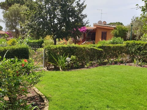 trilo Mulbery mit großem Garten