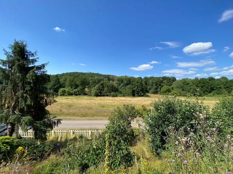 Eifelcottage Rotkehlchen mitten in der Natur