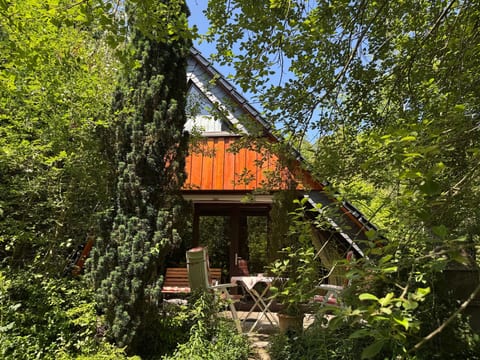 Eifelhäuschen Wald