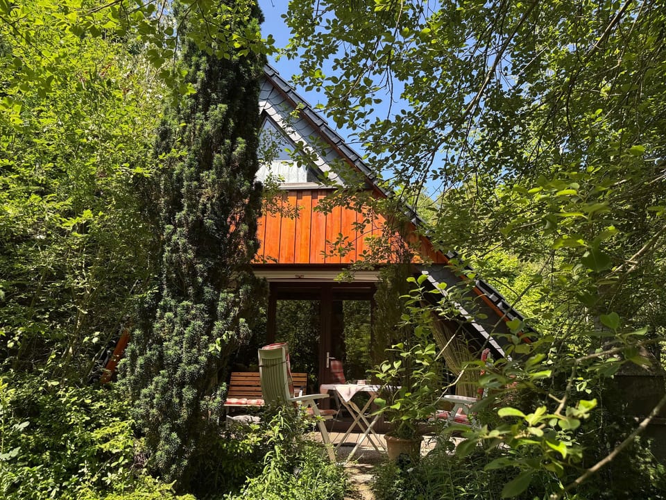 Eifelhäuschen Wald - Gerolstein