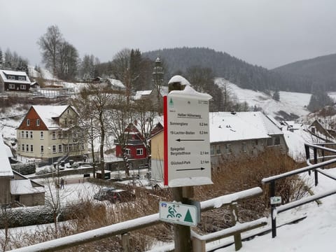 Einzigartiges Ferienhaus in Wildemann