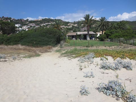 Palma direkt am Meer