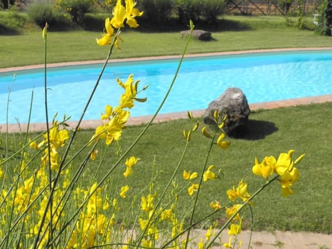 Wohnung in Santa Maria mit Whirlpool, Grill und gemeinsamem Pool