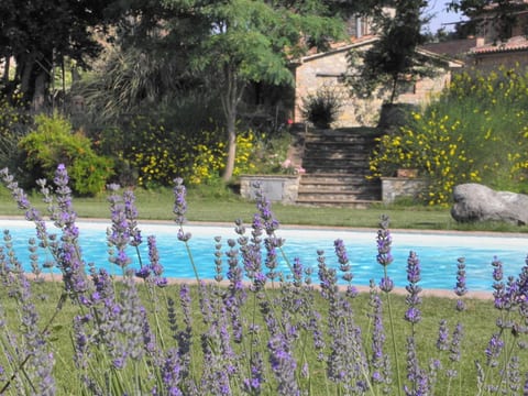 Wohnung in Santa Maria mit Whirlpool, Grill und gemeinsamem Pool