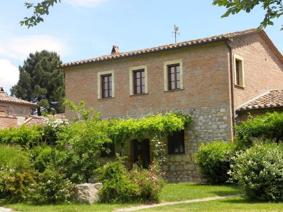 'Black Rooster - Monteleone d'Orvieto