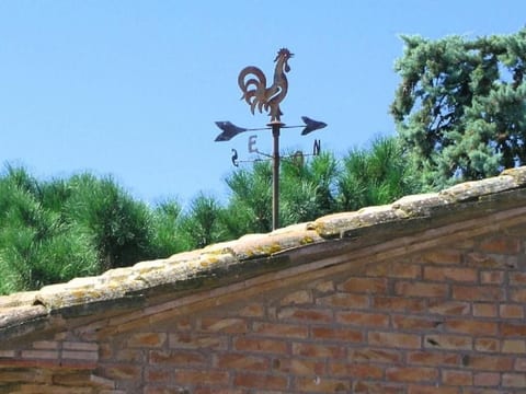 'Black Rooster