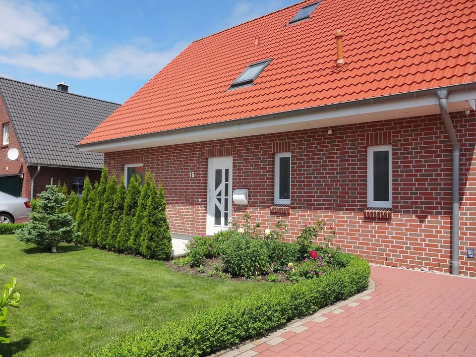 Rotkehlchen - Fehmarn