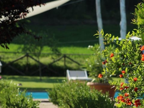 Apartment MONTONE