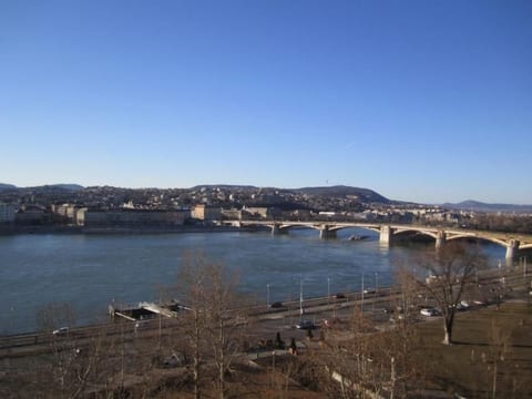 Penthouse mit Donaublick