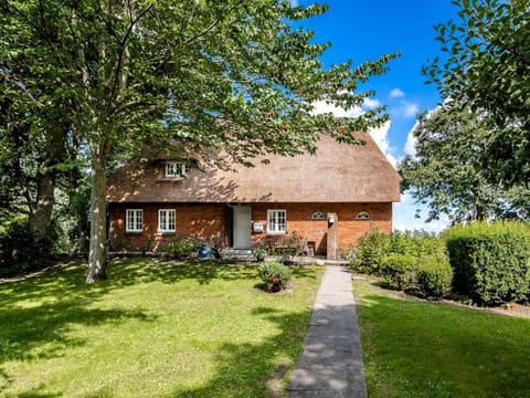 Reetdachhaus inmitten von Wiesen und Feldern